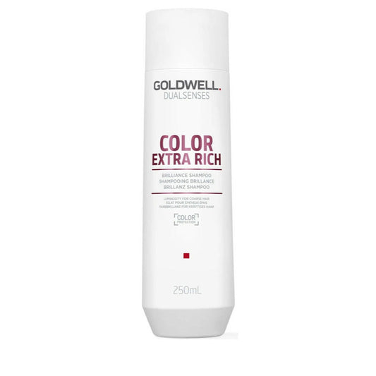 Shampoo Dualsenses Color Extra Rich Goldwell 300 ml