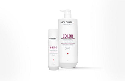 Shampoo Dualsenses Color Extra Rich Goldwell 300 ml